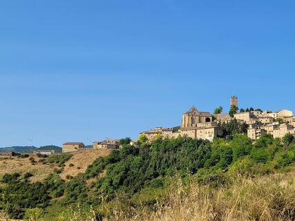 Photo de Maren Auer le long du parcours