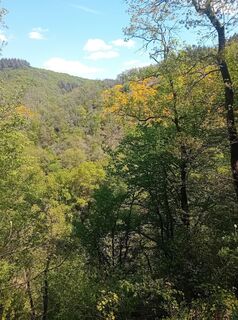 Foto de Kaspar Hirtreiter a lo largo del recorrido