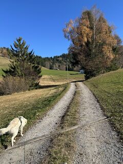 Photo de Bene Schadel le long du parcours