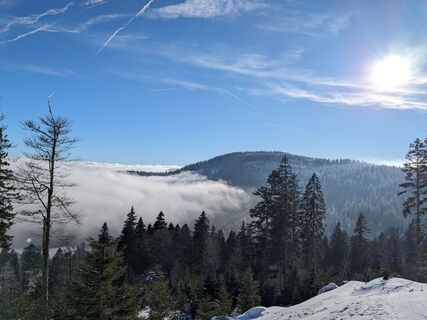 Foto von Michael Huber 10 entlang der Tour