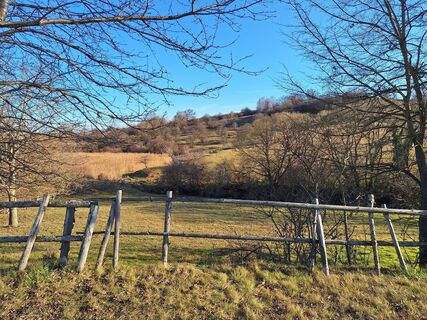 Fotografia z Andrea Roschek na trase