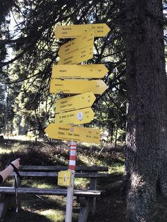 Foto von Gertrude Trsek entlang der Tour