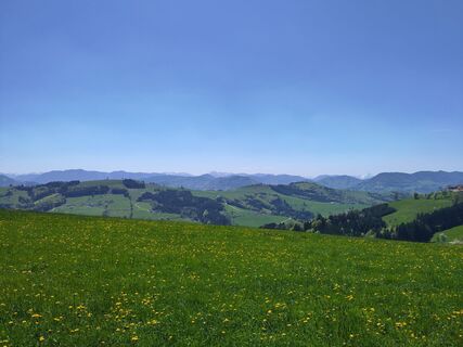 Fotografia z Chr Lenz na trase