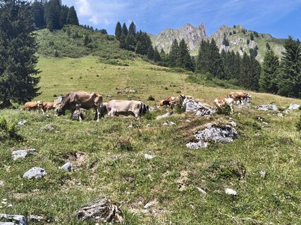 Foto von El Capo entlang der Tour