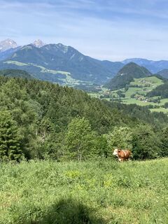 Foto de Hermann Hobelleitner a lo largo del recorrido
