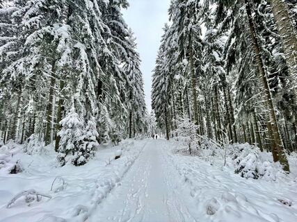 Foto von Les aventures de Ghislain entlang der Tour