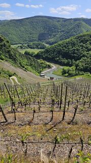 Foto de Andreas Wald a lo largo del recorrido