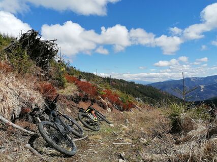 Foto de Žaneta Schelling a lo largo del recorrido