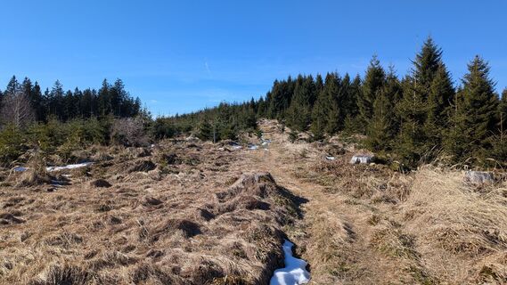 Fotografija s spletne strani sanktkollmann na poti