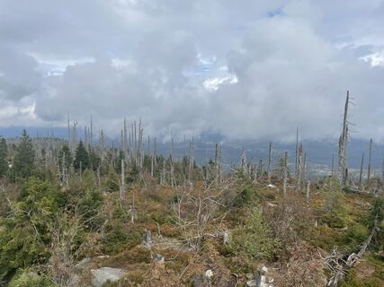 Photo de AlexanderK le long du parcours