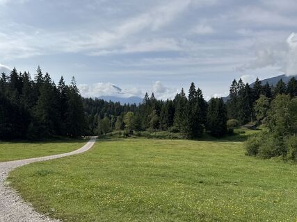 Photo de Grizzli le long du parcours