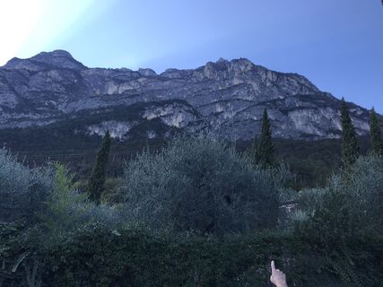 Foto von Heikoala entlang der Tour