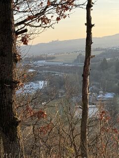 Fotografija s spletne strani Wladimir Zenner na poti