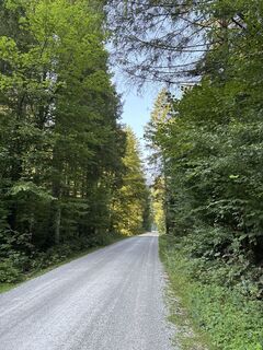 Foto von Heinz Sperl entlang der Tour