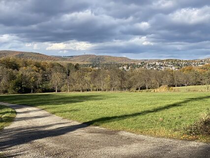 Фото с сайта Thomas Handlir во время экскурсии