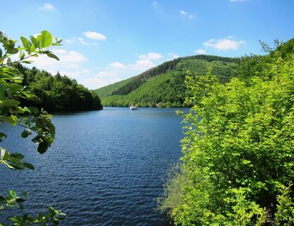 Der Obersee im Nationalpark Eifel