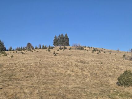 Foto von Gerti Bärnthaler entlang der Tour
