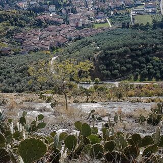 Coste di Baone - Arco