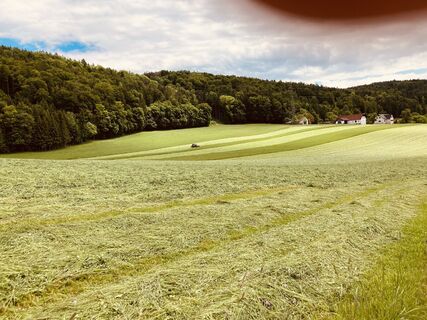 Fotografija s spletne strani Robert Gerard na poti