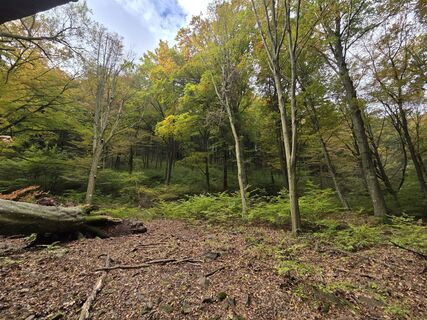 Fotografia z János Zsolt Mahr na trase