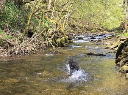 Foto de MRDL a lo largo del recorrido