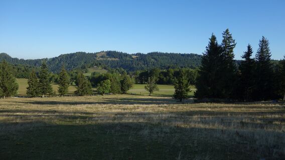 Wanderbeginn Ebenwald