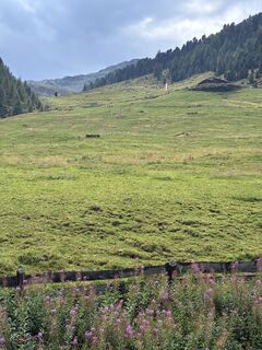 Foto von Andreas Wopfner entlang der Tour
