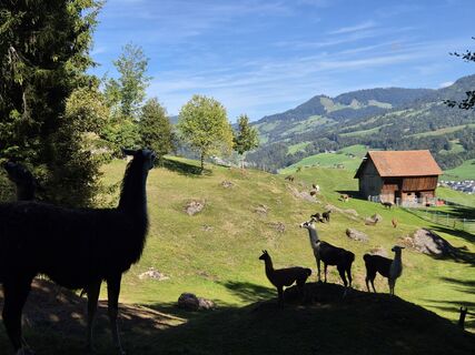 Foto von Walter Felber entlang der Tour