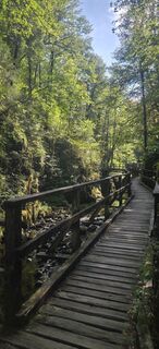Fotografie z Darija Forgač na trase