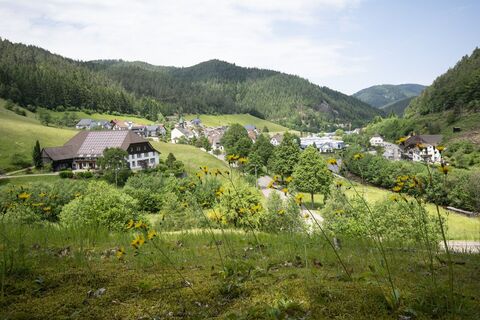 Blick auf Niederwasser