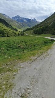 Foto de walrei a lo largo del recorrido