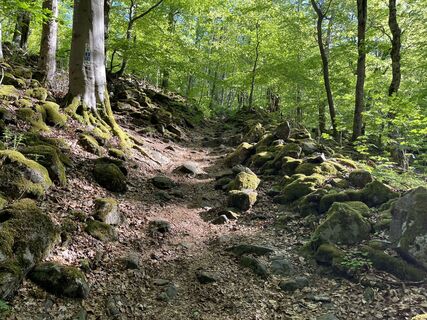 Fotó a Sebastian honlapról a túra során