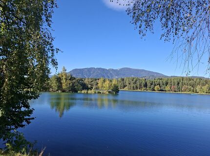 Fotografija s spletne strani Mangolein na poti