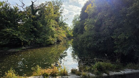 Photo de fschwarzenberger le long du parcours