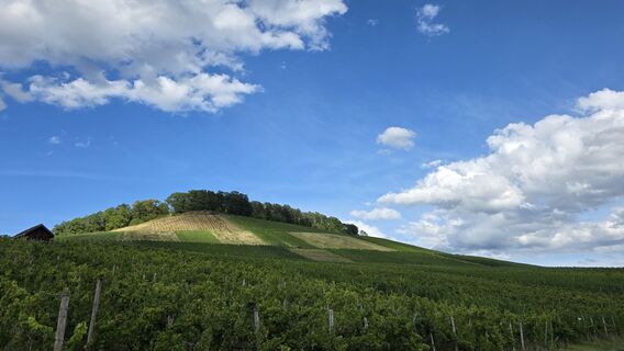 Foto da Michaela Fritz 3 lungo il tour