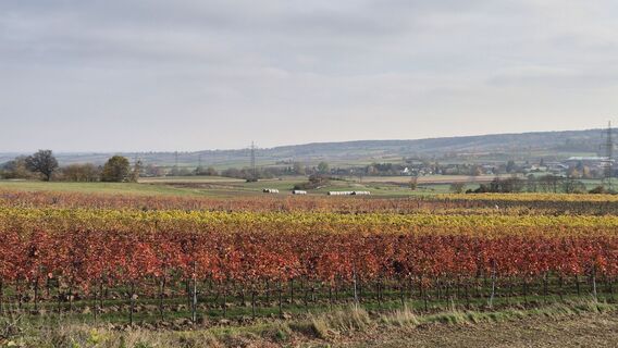 Photo from Claudia Maurer along the tour