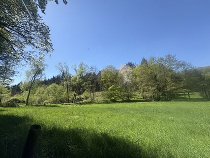 Fotografija s spletne strani Anja Richter na poti
