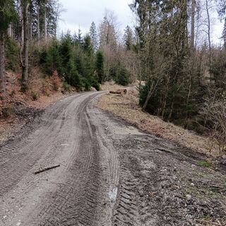 Photo de Marcus Dürr le long du parcours