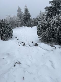 Foto von Dorgerry entlang der Tour