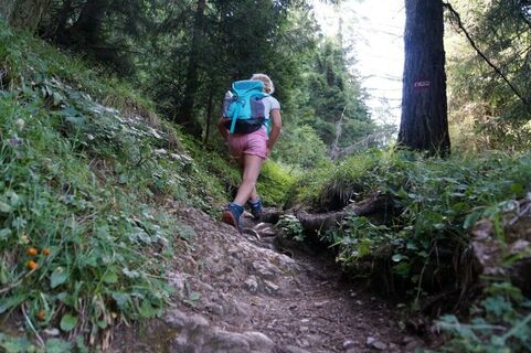 3-Tages-Familientour Auftieg im Wald