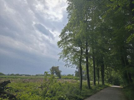 Fotografija s spletne strani philippe na poti