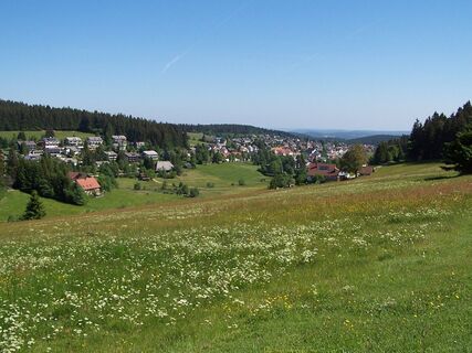Panoramablick auf Schönwald