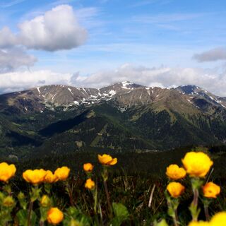 Ringkogel