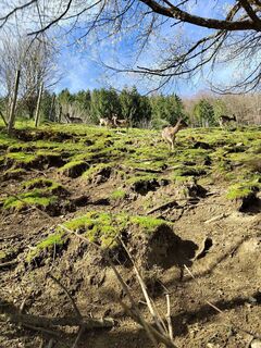 Photo de ReginaSt le long du parcours