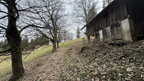 Fotografia z peter_oe na trase