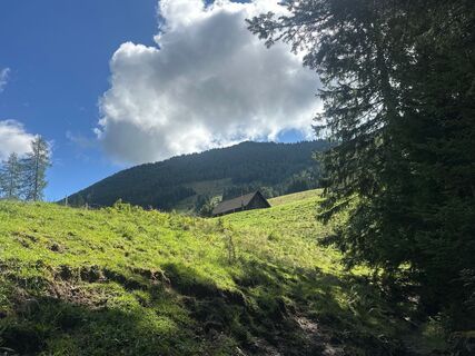 Vogelgesangklamm bis Hoferalm