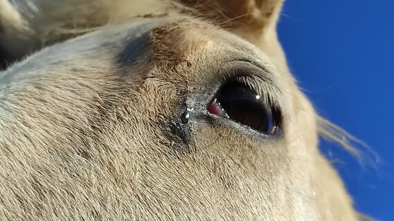 Fotografia z Bret Edith na trase