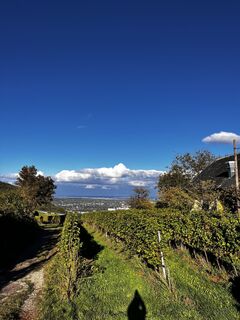 Photo de NezSari le long du parcours
