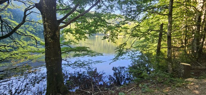 Foto von Johann Schallinger entlang der Tour