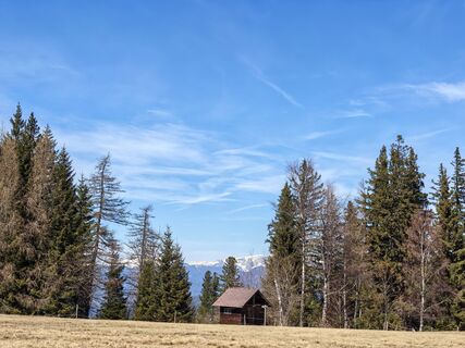 Photo de Sabine Kriebernegg le long du parcours